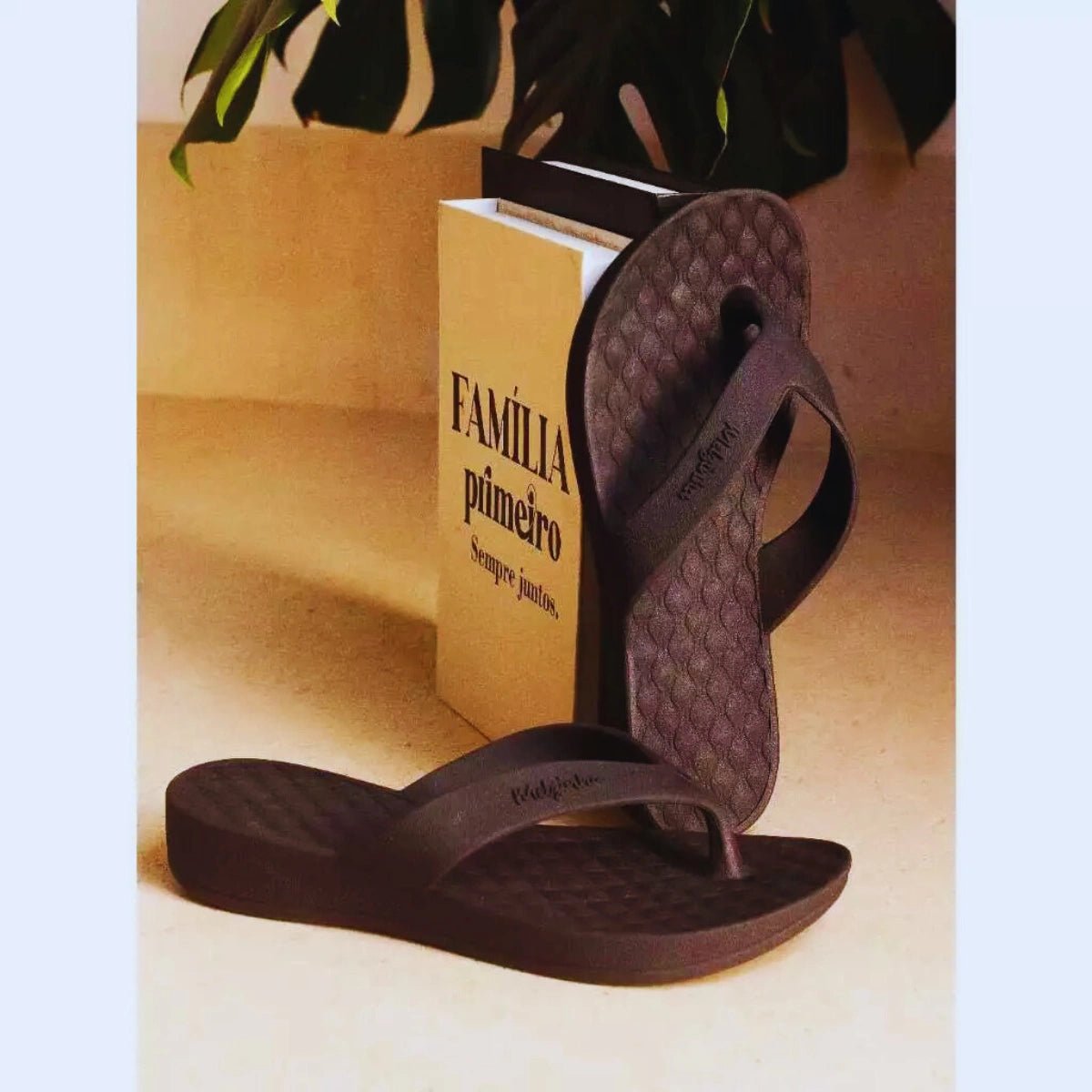 Chinelo Feminino Casual Mel - RecordeOnLine